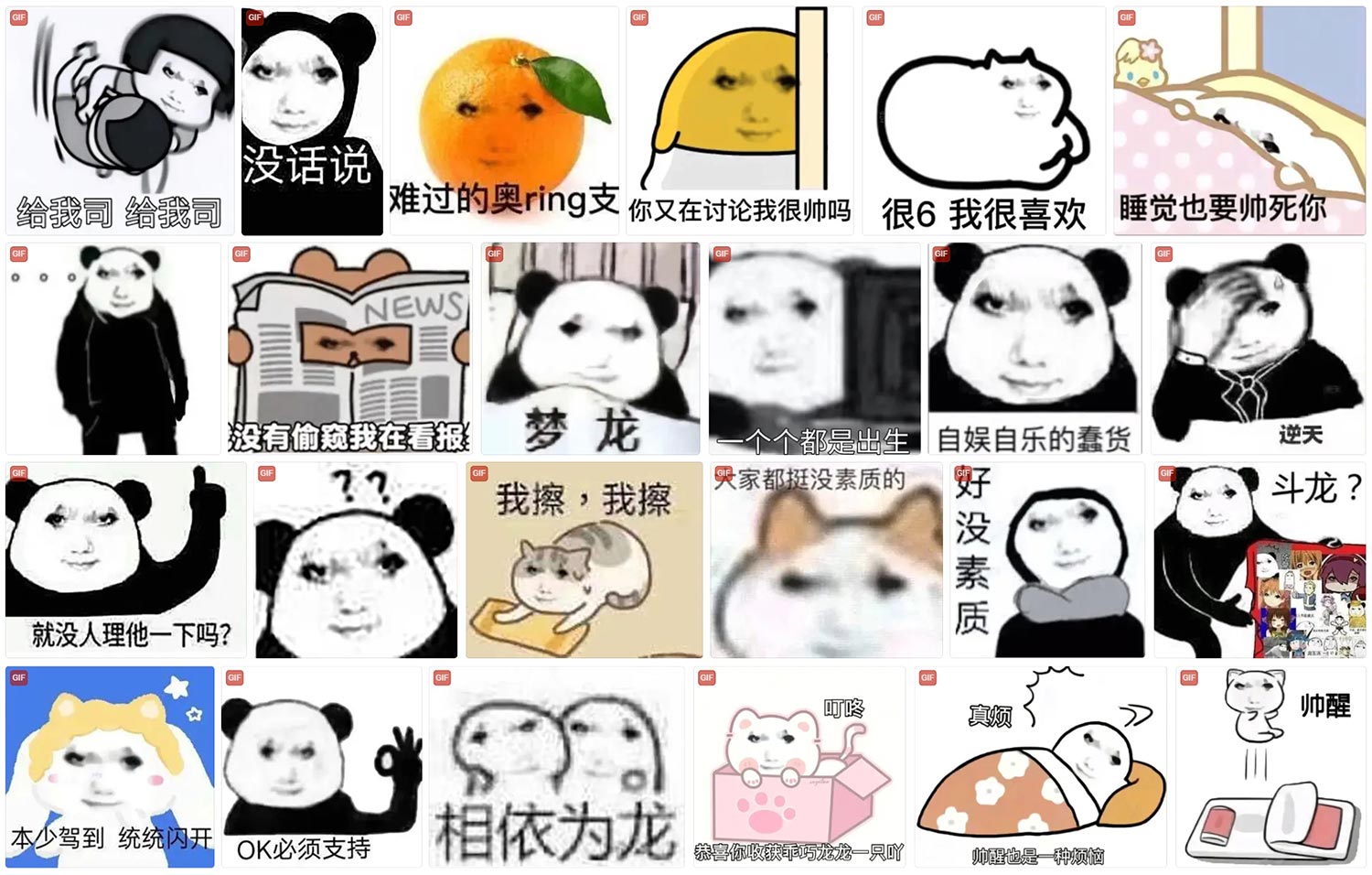 龙图 表情包 第1张