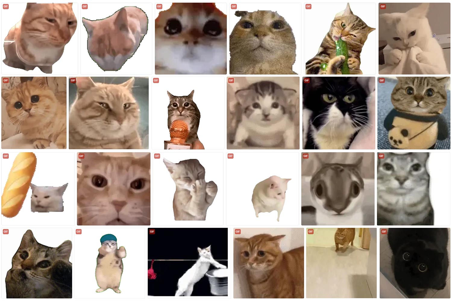 猫meme表情包合集|150张动态GIF表情包 聊天表情包图片大全 免费网盘下载