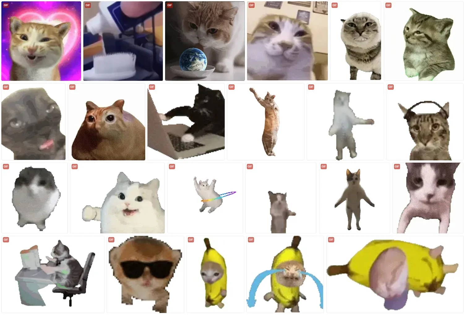 猫meme 动态表情包 第2张 猫meme 动态表情包 第2张