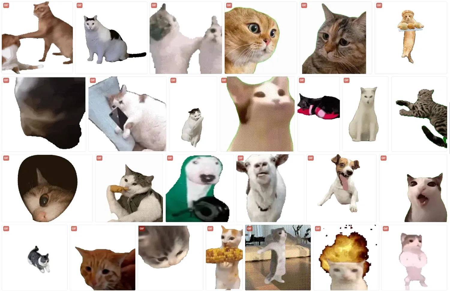 猫meme 动态表情包 第3张 猫meme 动态表情包 第3张