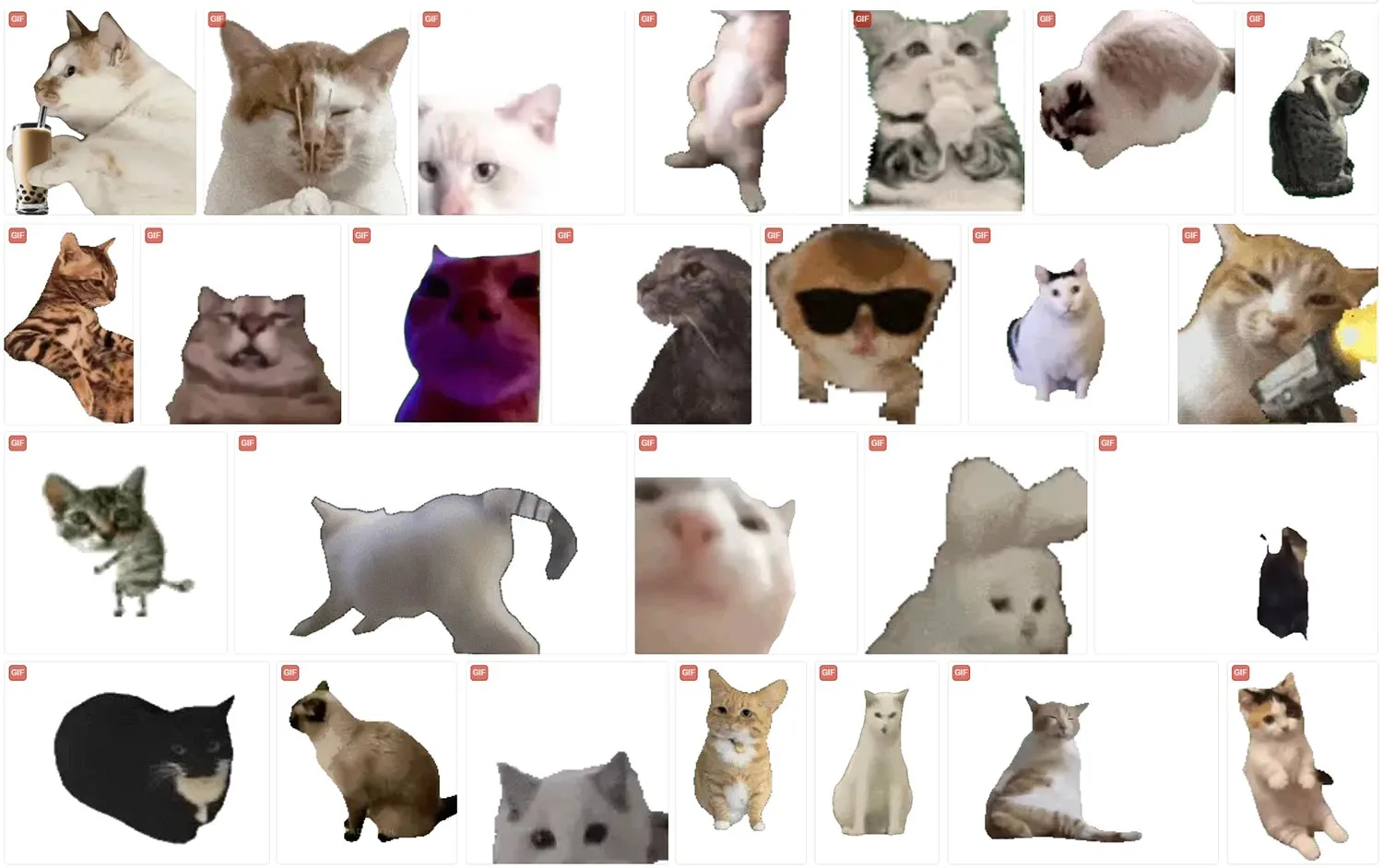 猫meme 动态表情包 第4张 猫meme 动态表情包 第4张