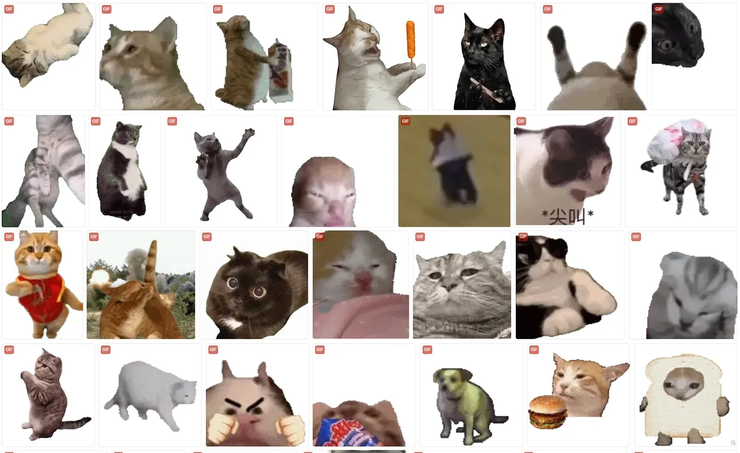 猫meme 动态表情包 第5张 猫meme 动态表情包 第5张