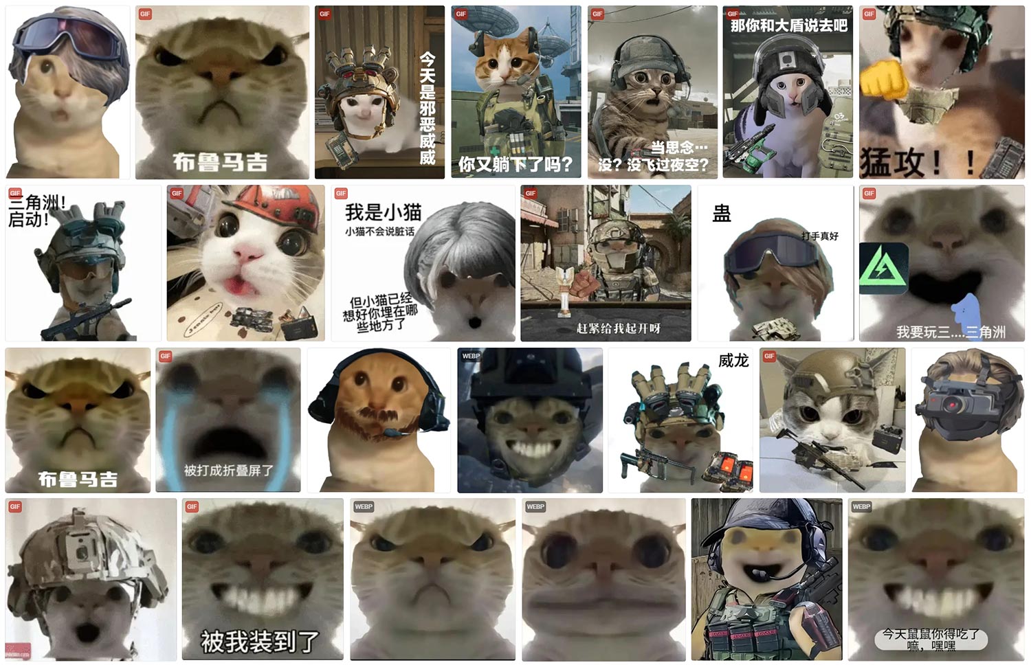 三角洲行动 鼠鼠表情包 第2张