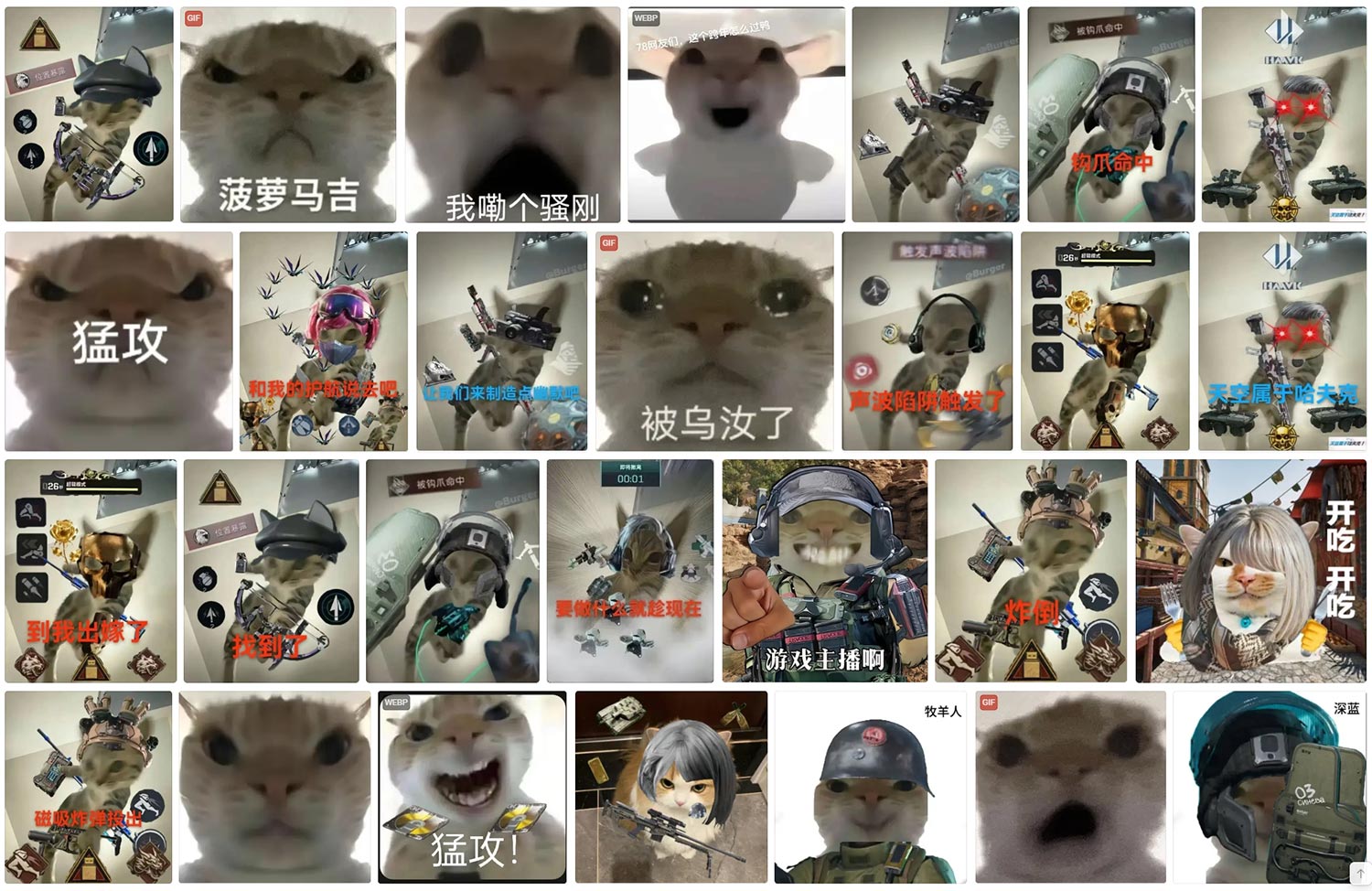 三角洲行动 鼠鼠表情包 第3张