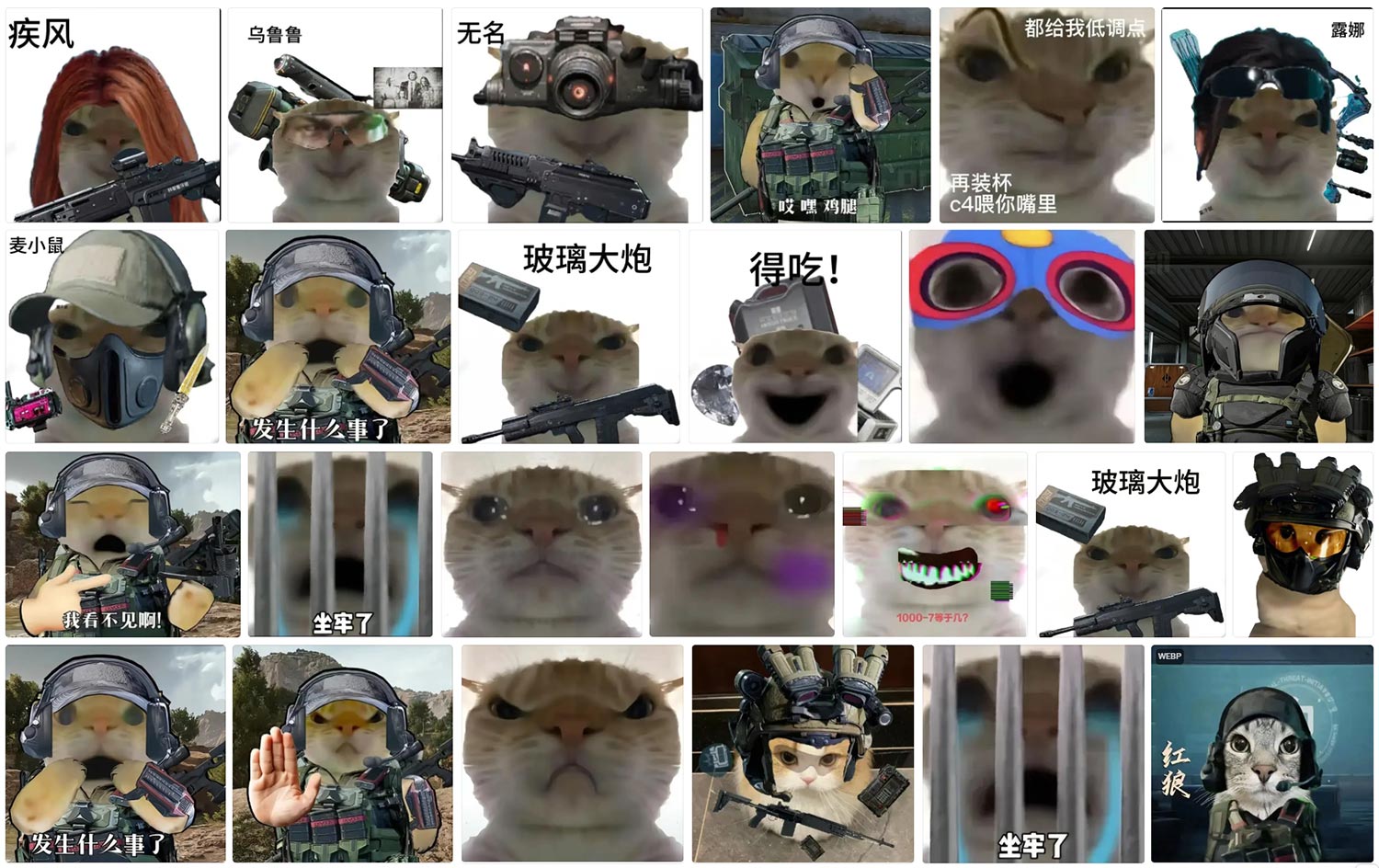 三角洲行动 鼠鼠表情包 第4张