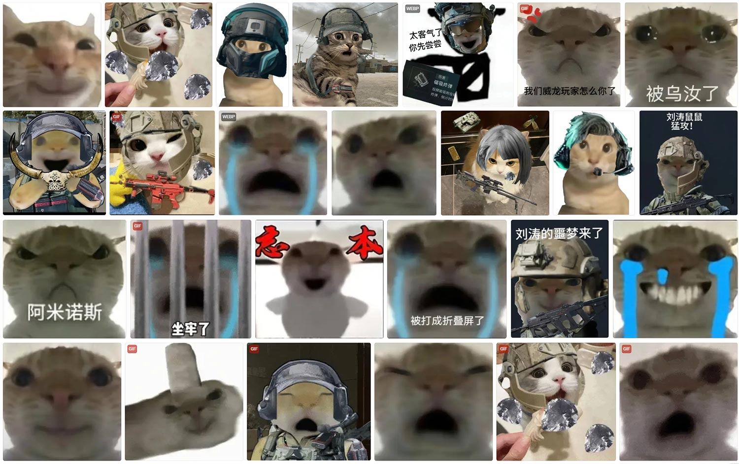 三角洲行动 鼠鼠表情包 第5张