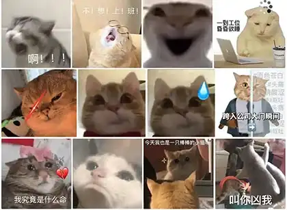 详细阅读:哈基米小猫表情包合集|390张动态GIF表情包|聊天斗图必备 表情包图片大全 免费网盘下载 哈基米小猫表情包合集|390张动态GIF表情包|聊天斗图必备 表情包图片大全 免费网盘下载