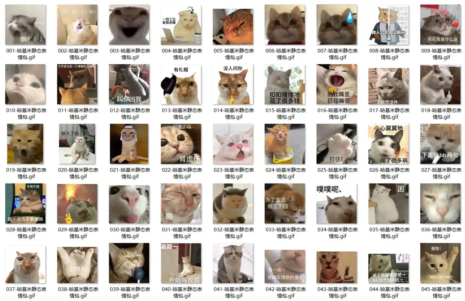 哈基米 表情包 第1张