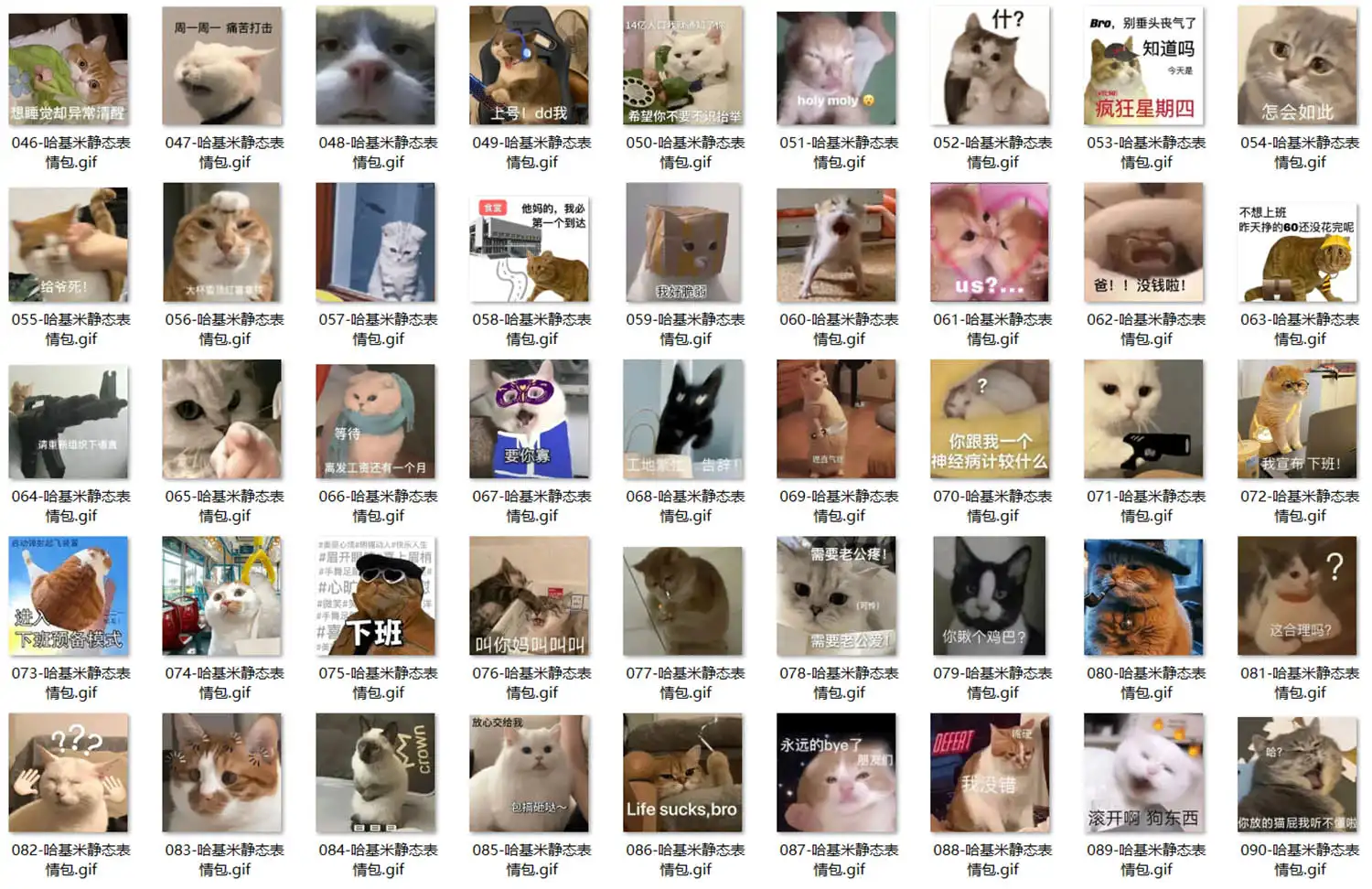 哈基米 表情包 第2张