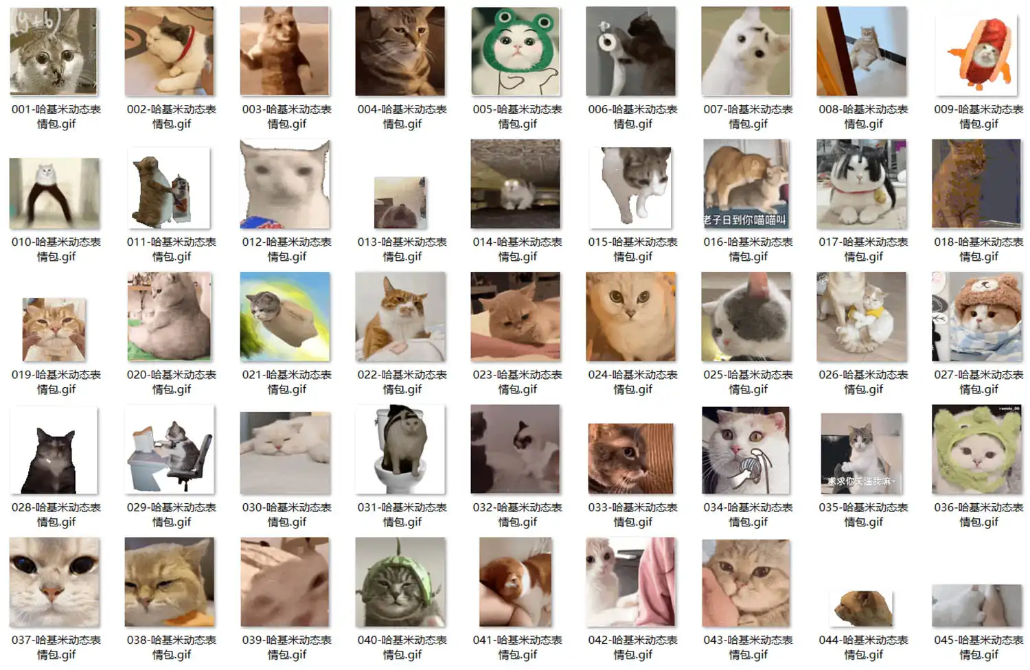 哈基米 表情包 第3张