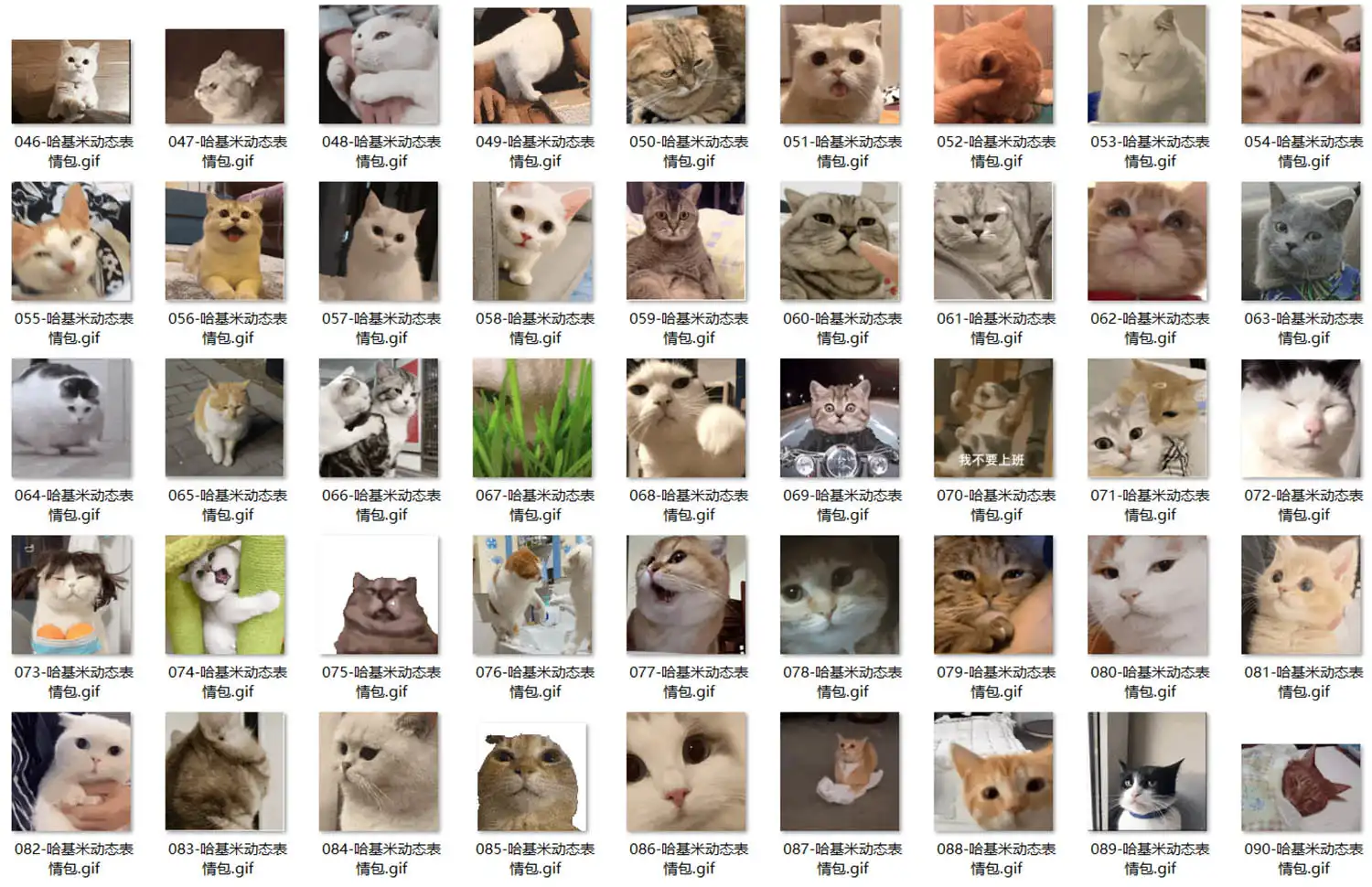 哈基米 表情包 第4张