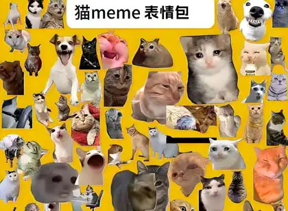 详细阅读:猫meme表情包250张动态GIF合集|搞笑聊天斗图表情包图片大全 免费网盘下载 猫meme表情包250张动态GIF合集|搞笑聊天斗图表情包图片大全 免费网盘下载