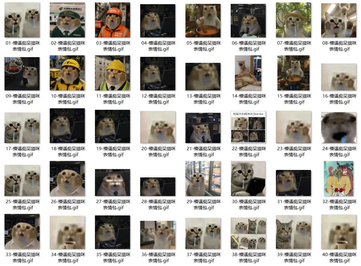 懵逼痴呆猫咪 表情包 第1张