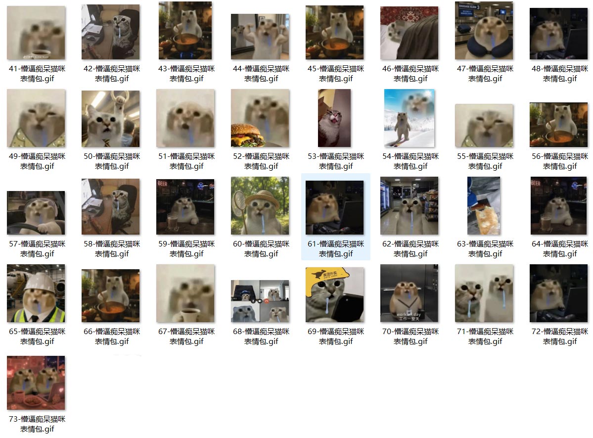 懵逼痴呆猫咪 表情包 第2张