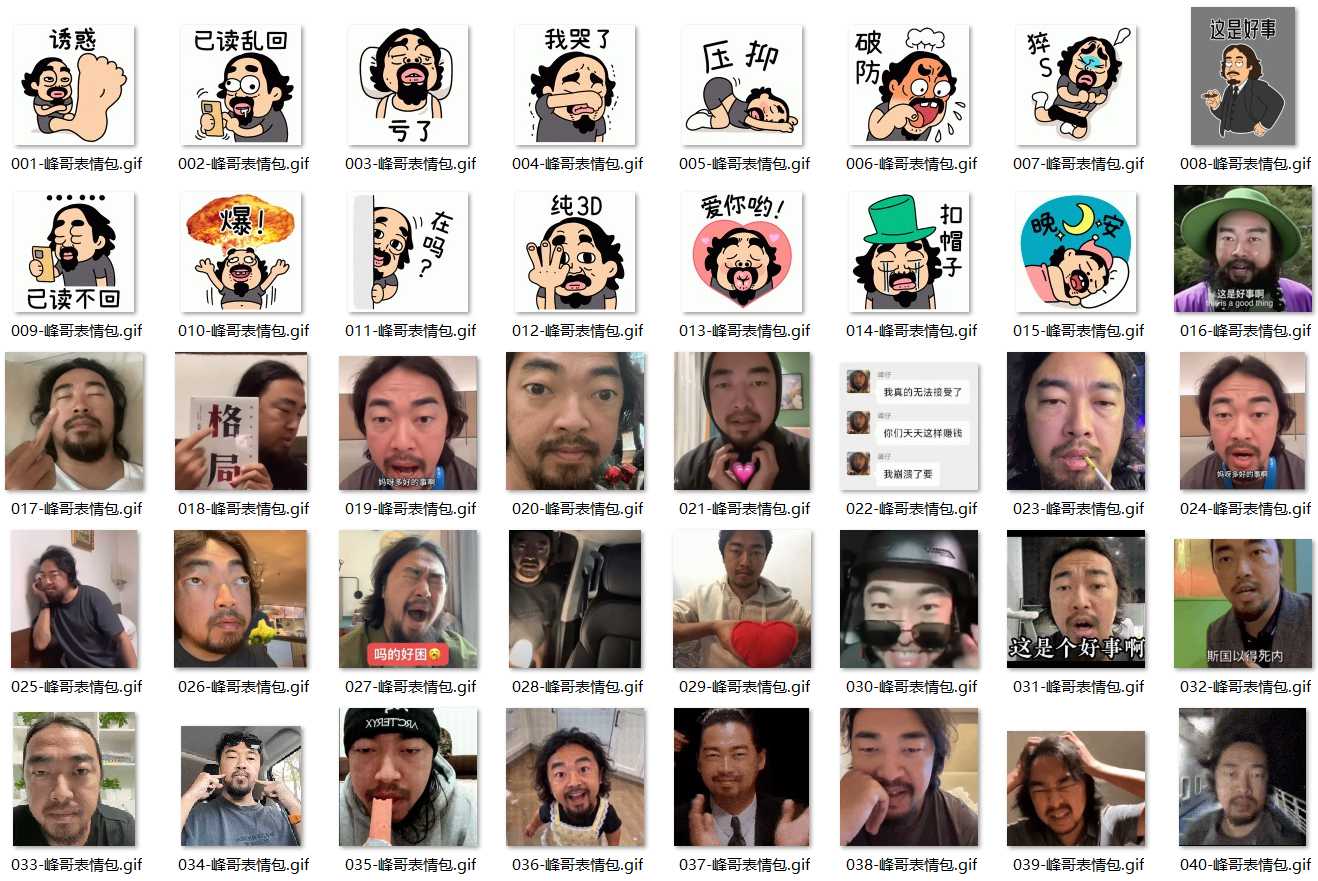 亡命天涯峰哥表情包 第1张