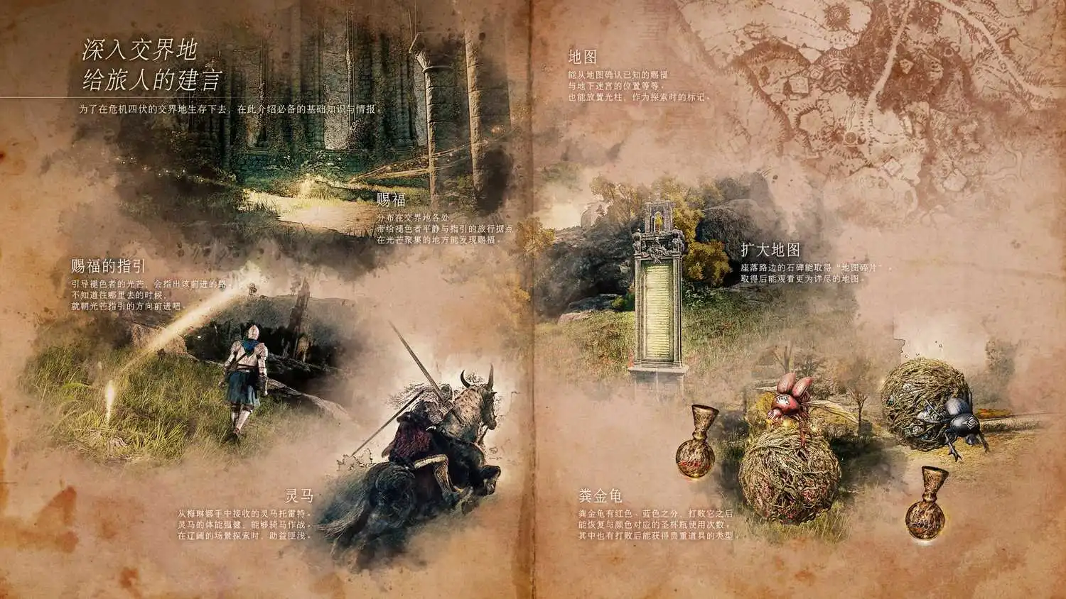 艾尔登法环设定集 第6张 艾尔登法环设定集 第6张