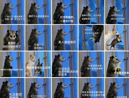 详细阅读:负鼠表情包|105张动态GIF表情包|聊天斗图必备 表情包图片大全 免费网盘下载 负鼠表情包|105张动态GIF表情包|聊天斗图必备 表情包图片大全 免费网盘下载