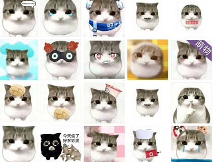 妙脆角小猫 表情包|107张动态GIF表情包|聊天斗图必备 表情包图片大全 免费网盘下载
