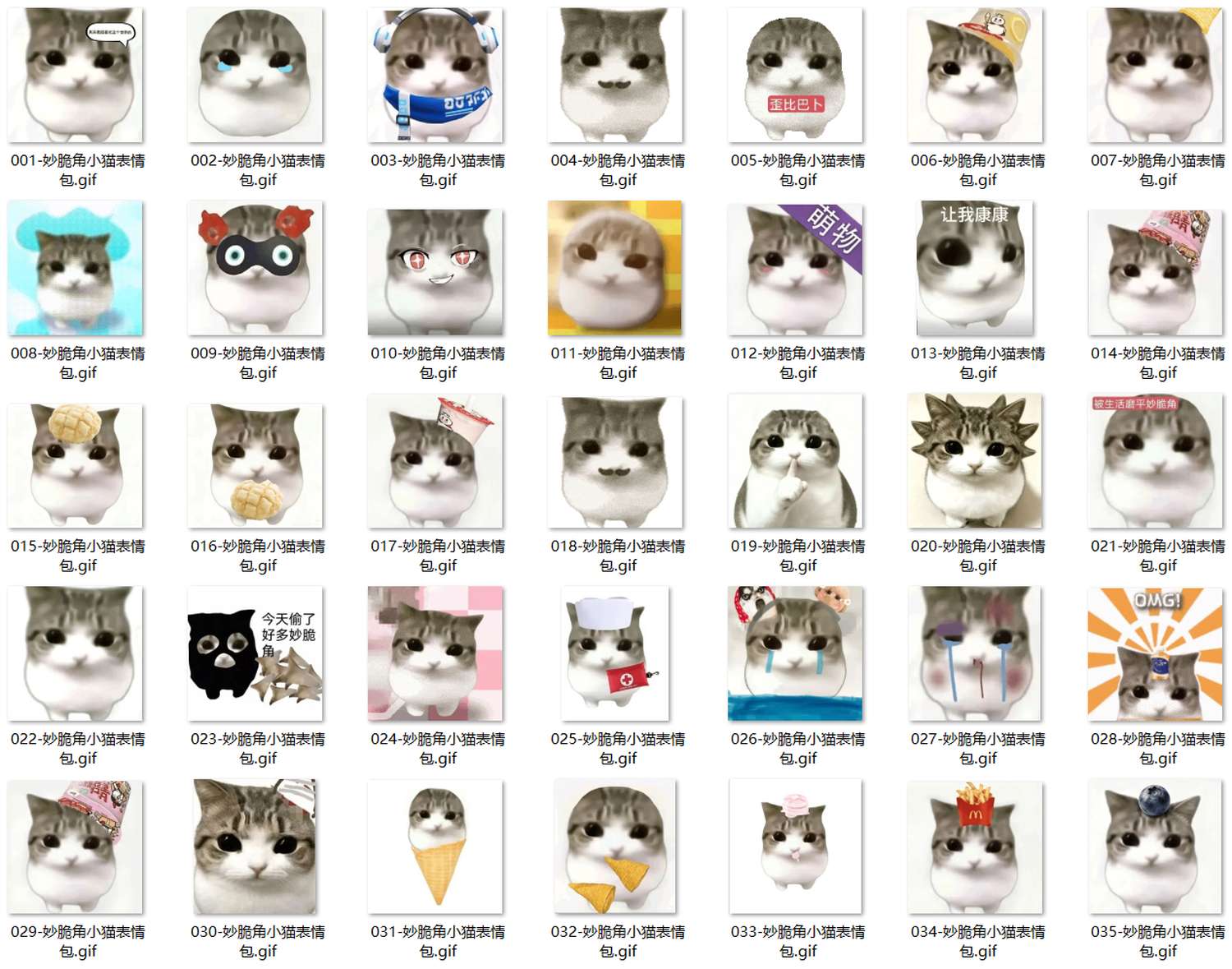 妙脆角小猫表情包 第1张