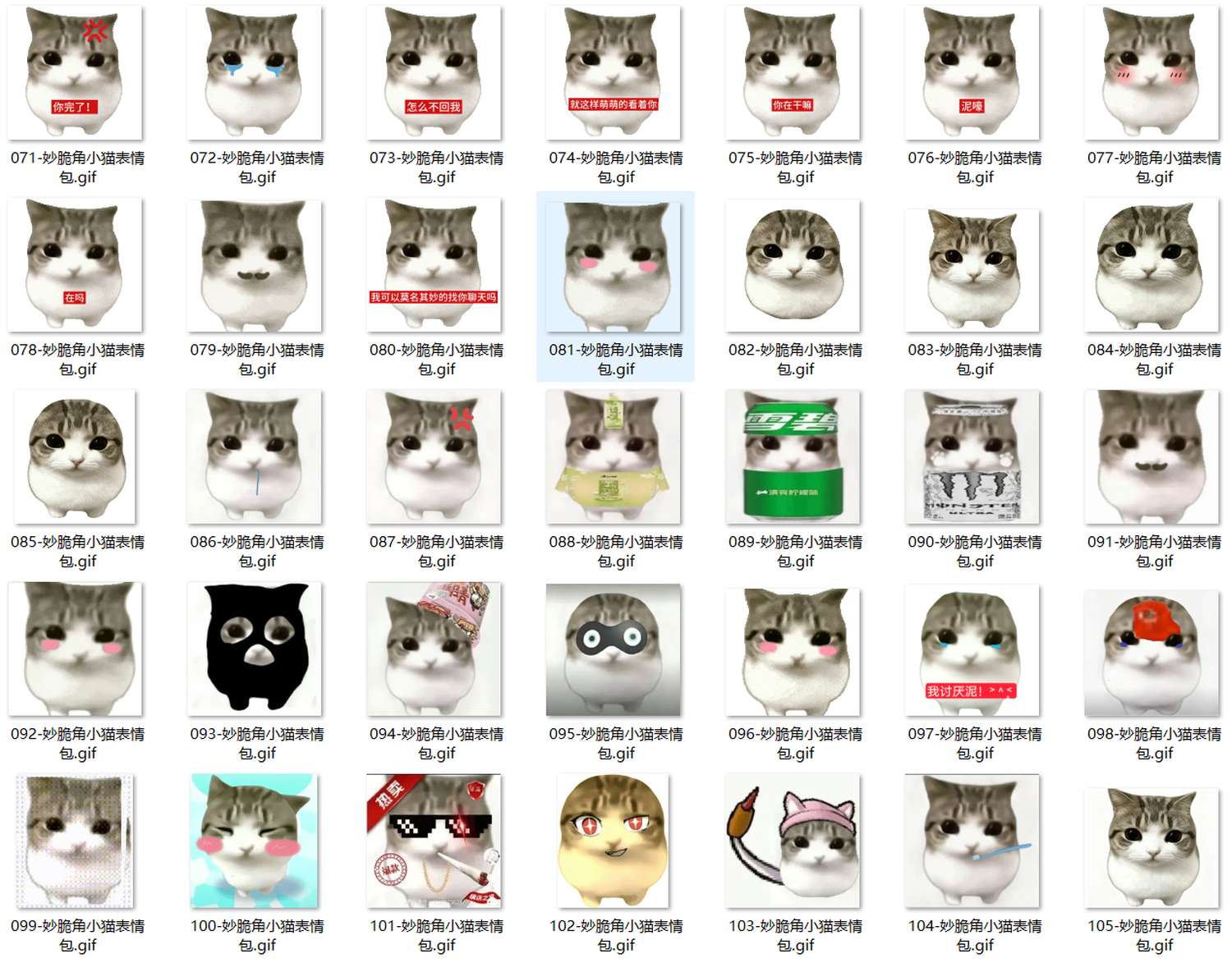 妙脆角小猫表情包 第3张